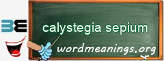 WordMeaning blackboard for calystegia sepium